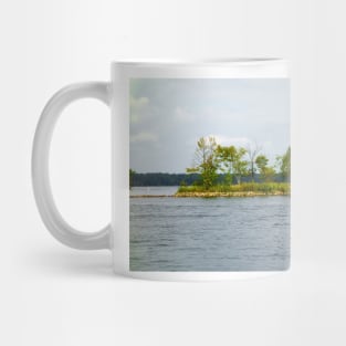 Bay Lake Study 7 Mug